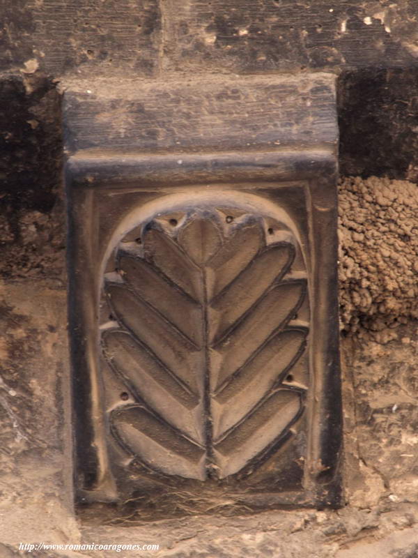CANECILLO MURO NORTE: PALMETA